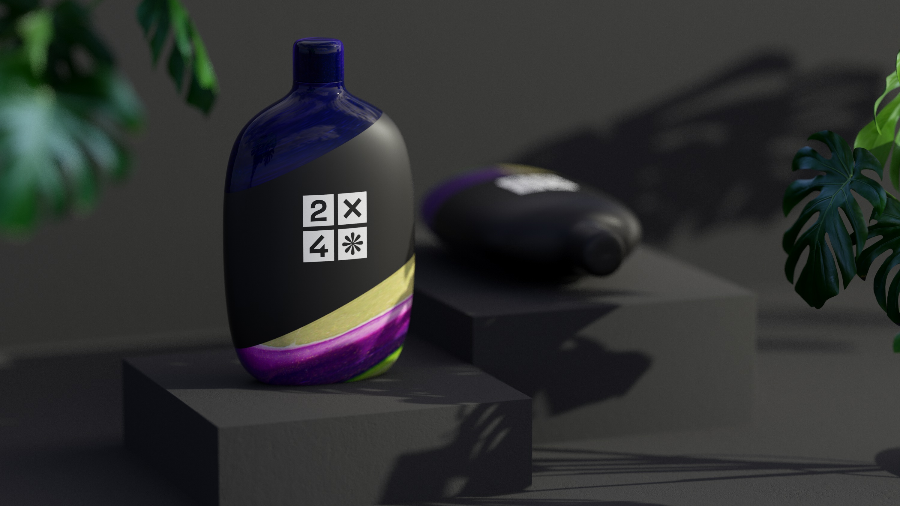 2X4 package design rendering
