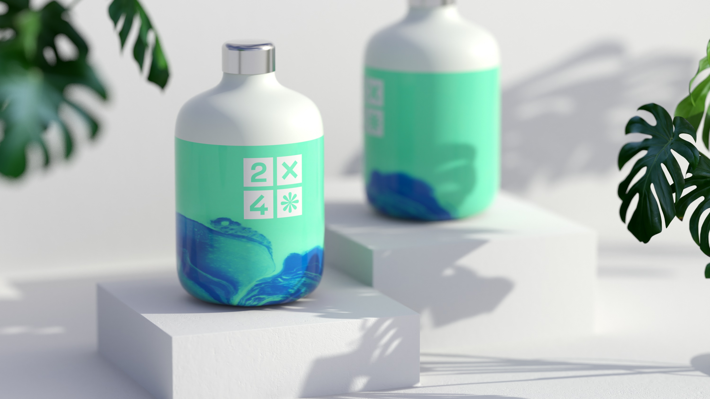 2X4 package design rendering