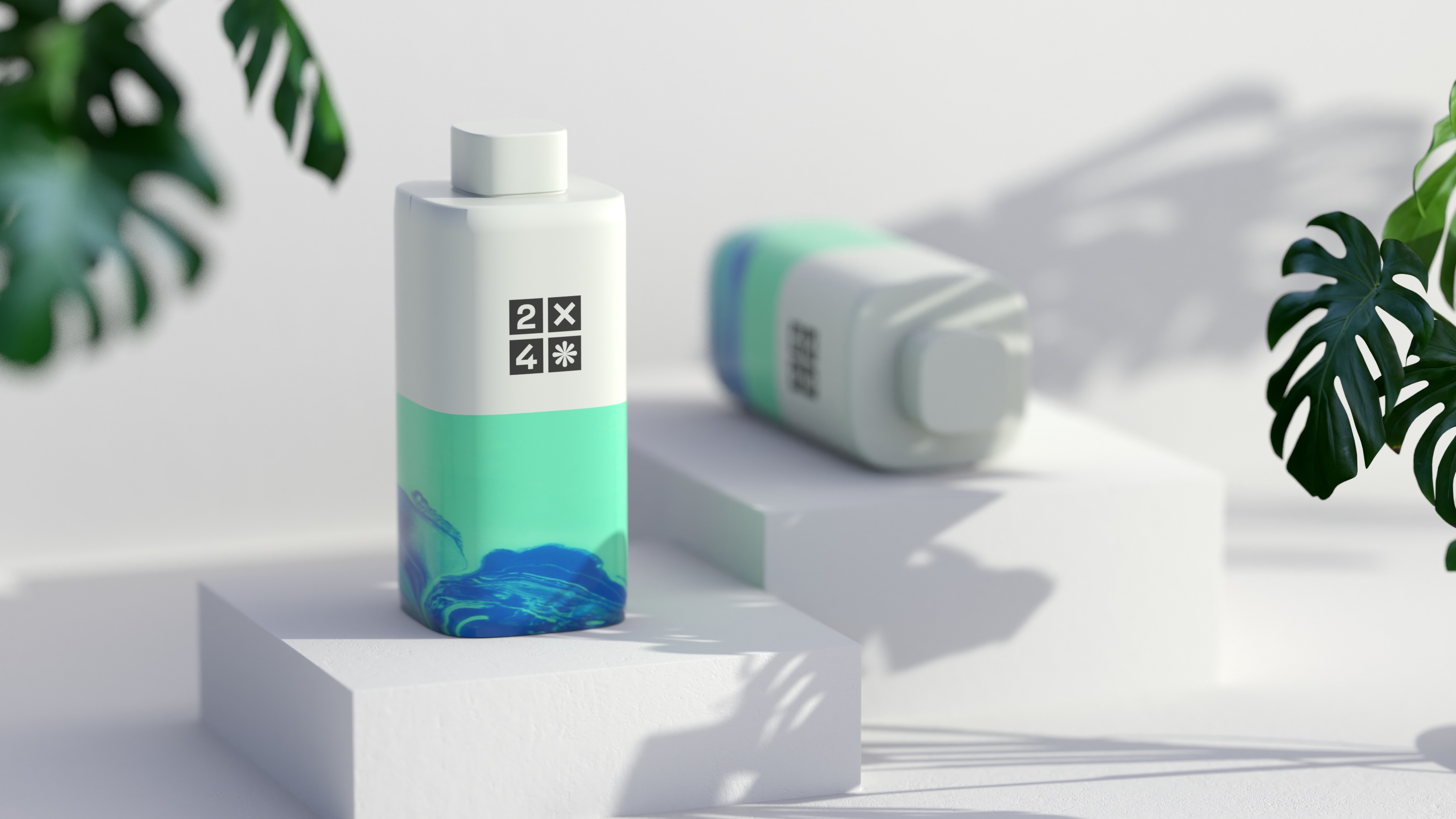 2X4 package design rendering