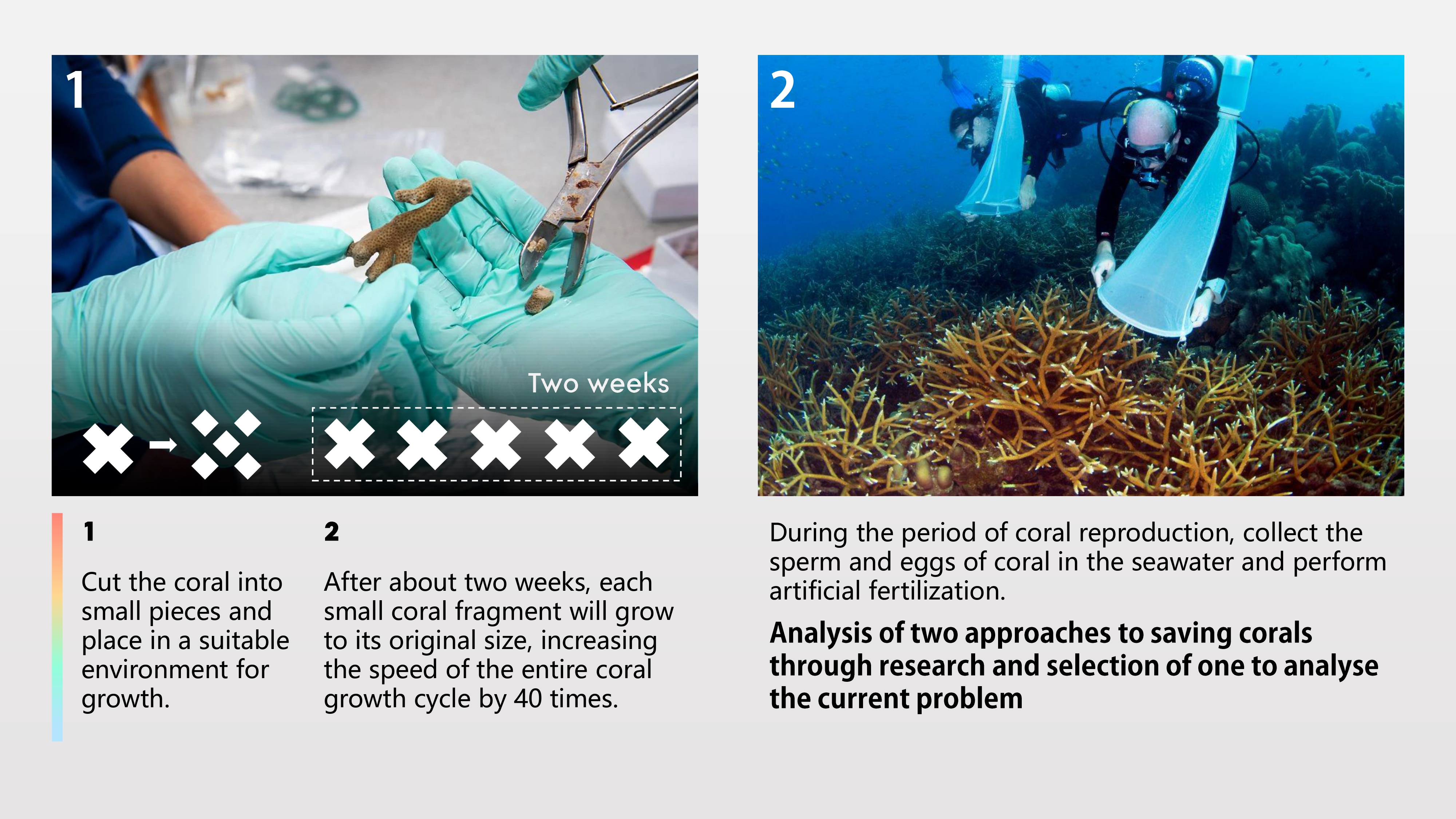 Archive portfolio page