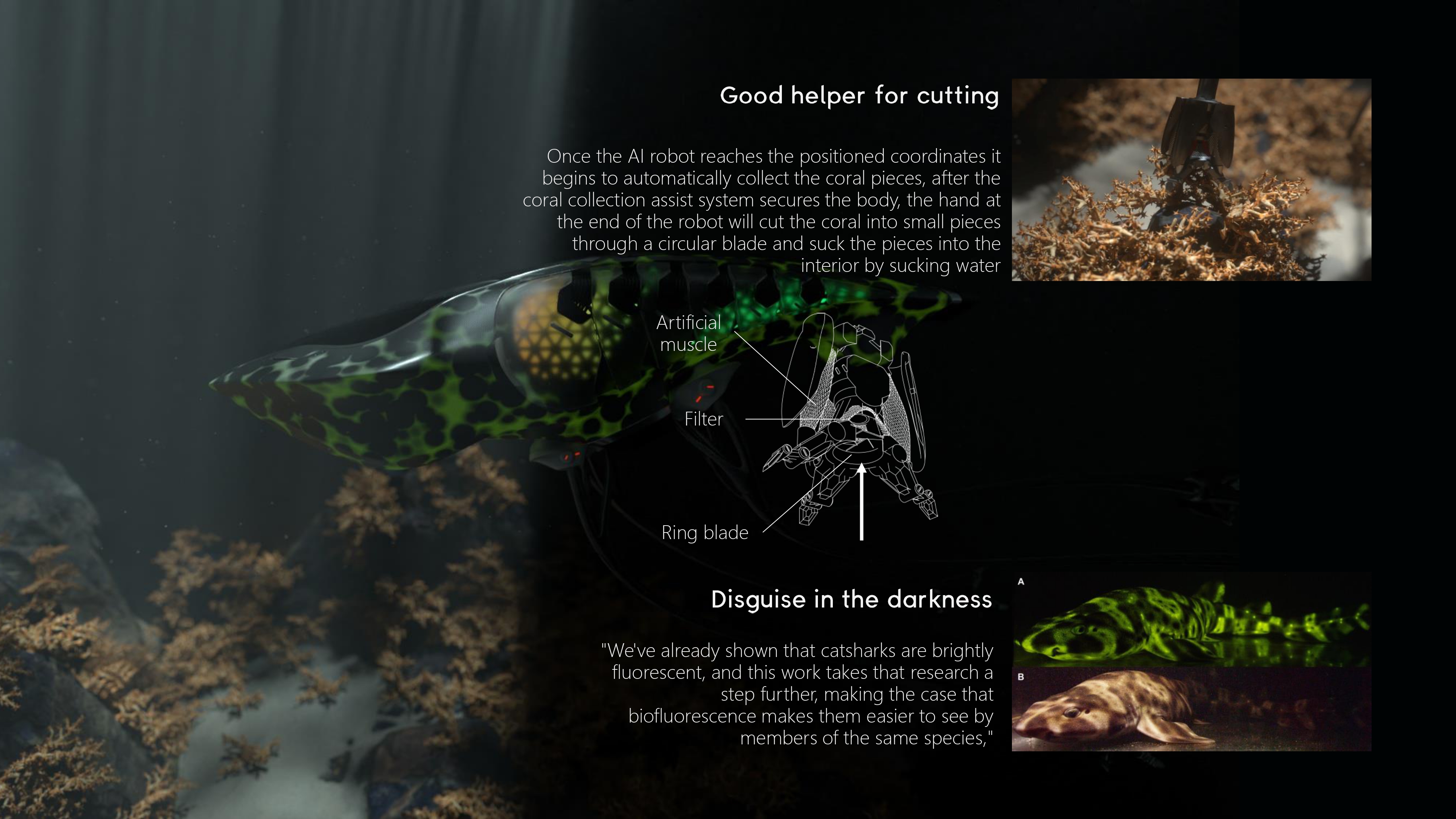 Archive portfolio page